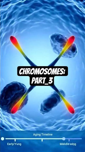 Part 3: Structure of a Chromosome