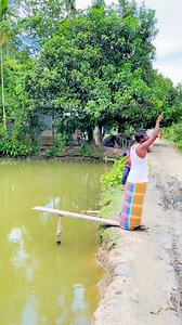 109K views · 518 reactions | #reelschallenge | Best Of Magic | Facebook