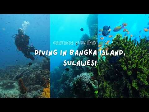 Bangka Island | Indonesia's Hidden Diving Paradise