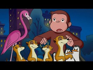 ¡Jorge deja libres a todos los animales! | Jorge El Curioso En Español