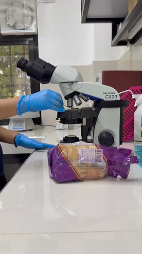 Bread with molds under the microscope 🔬 Not yet expired pero naexpose na siya sa air and stored in a warm temp kaya nagkaroon ng molds. Bread contains moisture and nutrients that make it an ideal environment for fungi. Kaya pansin niyo yung mga bread maikli lang ang shelf life/expiry. •Keep bread in a cool, dry place or refrigerate to slow mold growth. •Consume immediately after opening the pack. •Avoid touching bread with wet or unclean hands, as this can introduce spores. #molds #medtech #fun