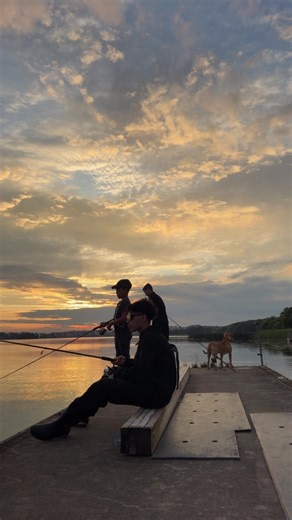 #americanbully #bully #xxl #foryou #dk