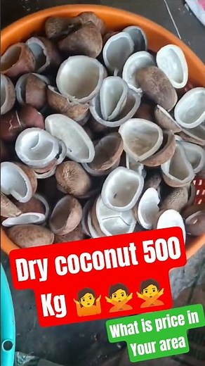 Dry coconut price, copra market rate, market rate of coconut #coconutprice