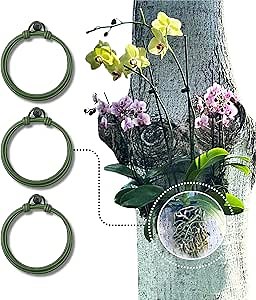 Orchid Tree Hanger - Set of 3, Handmade Edition (Last Units) 4-inch Galvanized Wire with PVC Coated Ring - Perfect for Orchids, Bromeliads, and Air Plants - Durable for Outdoor Use