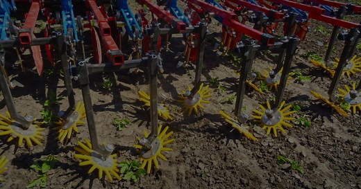 Finger weeder - Hatzenbichler Agro Technik