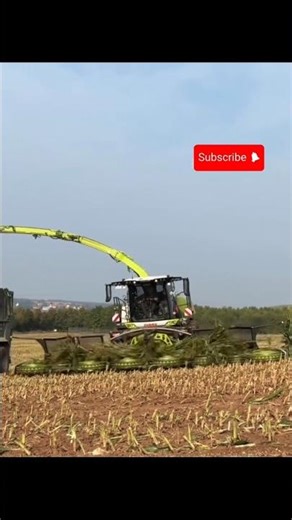 High-Speed Corn Silage Harvesting and Powerful Forage Harvester in Action