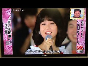 松田聖子 青い珊瑚礁 1980年