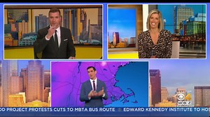 10K views · 117 reactions | Tell your boss, kids, whoever you need to: Today is National Napping Day! https://cbsloc.al/30LkYII | WBZ / CBS News Boston | Facebook