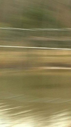 A Terrifying Encounter with an ￡800 Bear!