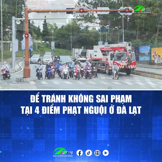 Để tránh không sai phạm tại 4 điểm phạt nguội ở Đà Lạt -Kim Cúc- Trần Hưng Đạo- Đường 3/4 -Bà Triệu- Nguyễn Văn Cừ -Nguyễn Văn Cừ- Đường 3/2 -Hoàng Văn Thụ - Trần Phú #LamdongTV #LTV #LamDong #tintuc #atgt #phatnguoi #dalat | Báo và Phát thanh, Truyền hình Lâm Đồng