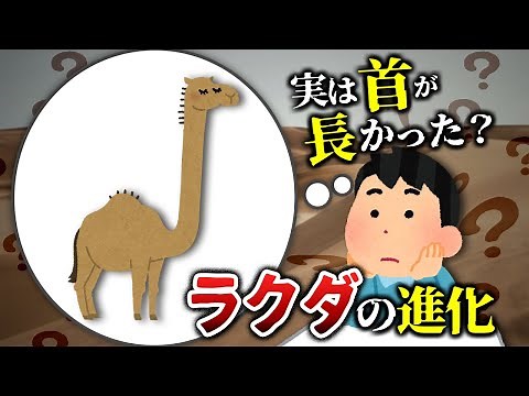【ゆっくり解説】ラクダは昔キリンみたいだった？！ 過酷な環境下での進化と適応
