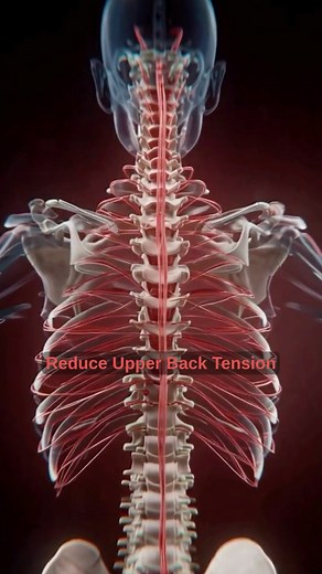 Fix Bad Posture & Back Pain in Just 30 Seconds | Exercise to Fix Posture & Back Pain Relief #shorts