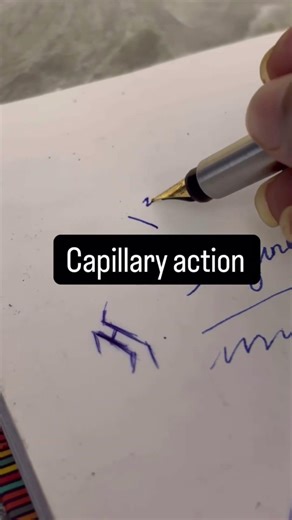 Capillary action #experiment