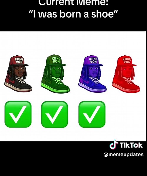 “I was born a shoe” Is an internet meme depicting rapper and artist King Von inside a shoe saying “I was born a shoe” it follows the footsteps of the “Domer” meme which is yet more low quality brain rot slop.