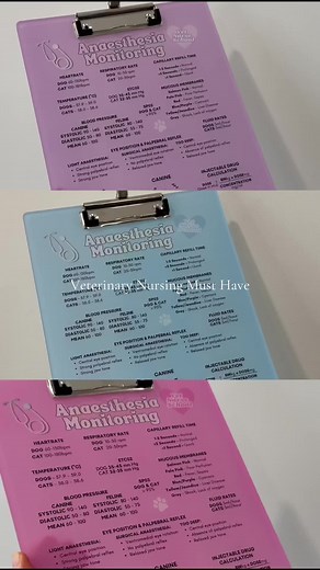 Veterinary Nursing Must-Haves: Essential Accessories Guide