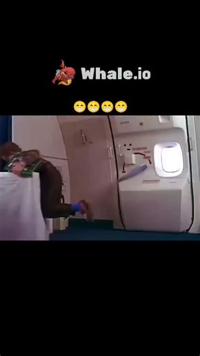 funflix on Instagram: "This X post by @SultanF1001 shares a 27-second video clip from the 1993 comedy horror film "Freaked," directed by Tom Stern and Alex Winter. 5 It's the iconic airplane scene featuring a chaotic decompression where a flight attendant serves passengers, but things escalate when the door bursts open. Objects, a dog, a cat, and eventually a curly-haired kid named Stuey get sucked out mid-flight. The kid tumbles from the sky, narrowly misses a haystack in a farm field (classic 