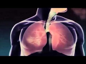 Spiro Tiger - the best respiratory training