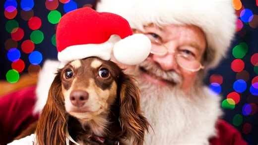 Christmas and holiday events in Brevard for Dec. 5 through 11