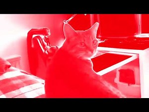 Ya Hungry Compilation In YoutubeChorded