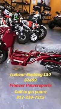 🔥 Icebear Gen V Maddog 150cc: Bold Design, Powerful Ride! 🚀