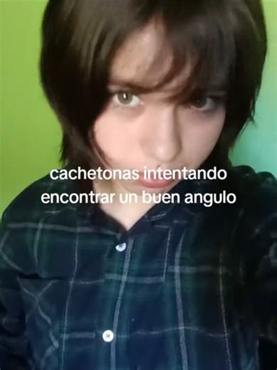 Cachetonas buscando el mejor ángulo