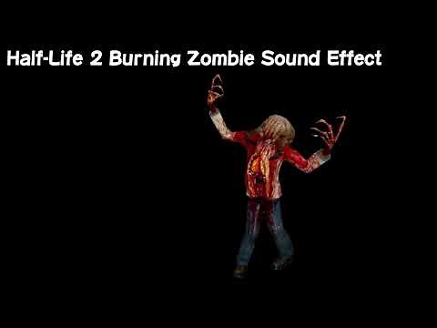 Half-Life 2 Burning Zombie Sound Effect