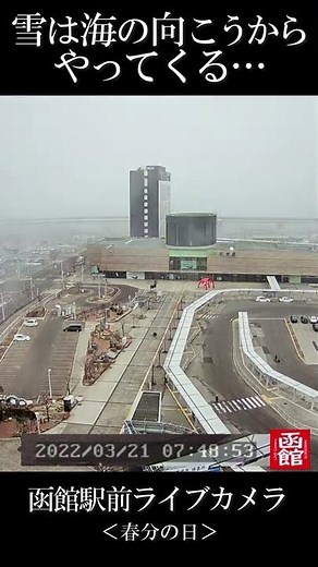 春分の日に降る雪・函館湾の向こうから雪雲が… #Shorts