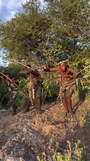 African tribes use arrows & follow the path of hunting animal #africanhunting #shorts