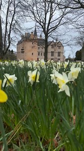 10K views · 136 reactions | The stunning rose-coloured Brodie Castle,...