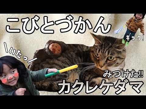 【こびとづかん】カクレケダマをみつけたよ！