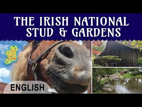 KILDARE: Irish National Stud & Gardens