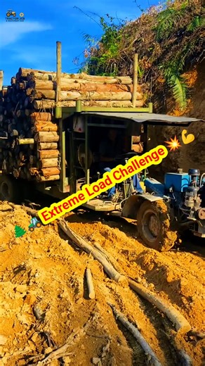 🌲🚜 Extreme Tractor Load Challenge 💥💪 #TractorPower #HeavyLoad #VillageLife