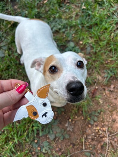 Personalized Pet Keychain: Faux Leather Dog, Cat, Hamster Charm - Etsy