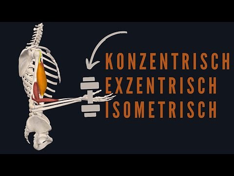 Konzentrische, Exzentrische und Isometrische Muskelarbeit simple erklärt!