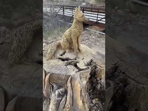 Freeform Capture Tutorial - Luma Beta