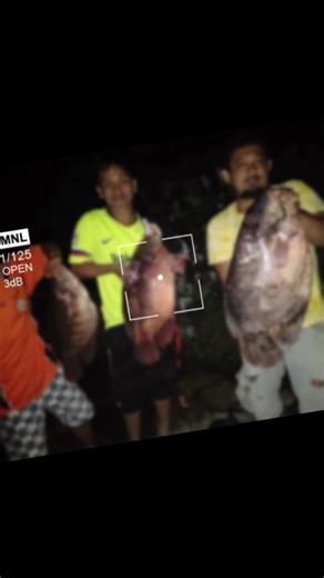 Jack klemen (@jack.klemen)’s videos with Seafood - G-Mayne Da Wreck