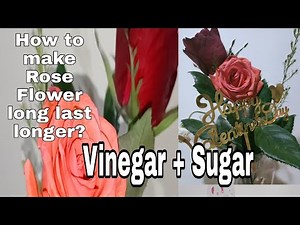 Easy Way How to make Rose Flowers last longer| Fresh Flower+Vinegar+sugar