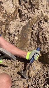 8K views · 183 reactions | Who wants to find some opal? 凉 we will be at the Royal Peacock Opal Mine in Nevada for the next few days!   they close for the season on the 16th!  already had a great day hunting for some of the best opal in the world! | That Camping Couple | Facebook