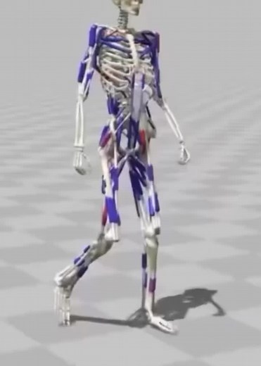 Understanding Hinges in Biomechanics and Tensegrity