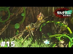 語り継がれなかった英雄たちの物語【ゼルダ無双 封印戦記】＃１５(終)