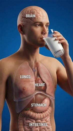 Health & Science 🎊🫀 (@health.science75)’s videos with som original - 𝙈𝙪𝙨𝙞𝙘𝙖𝙨