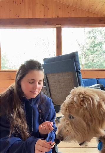 💜💜💜 #dogsoftiktok #dogtreats #ASMR