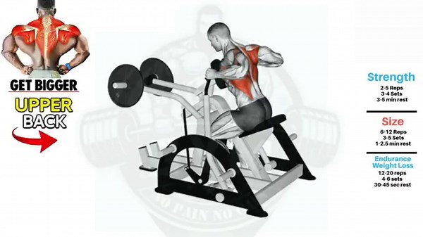 Upper Back workout, 8 important Exercises Get fastest growing upper Back! (don't Miss)