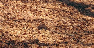 Video by Efrem  Efre   on Pexels