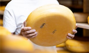 Thieves steal $22,000 worth of cheese