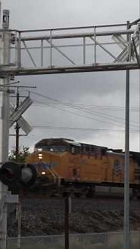 UP 6425 Grain Train West & UP 1386 Florin Flyer Local Near Roseville Road, North Highlands CA