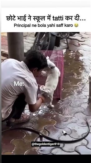 Bhagwan aisa din kisi ko na dikhaye 🥲 #shortsfeed #shorts #viral #dog #funny #funnyanimals #comedy