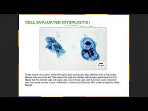 1406 Cell Structure and Function