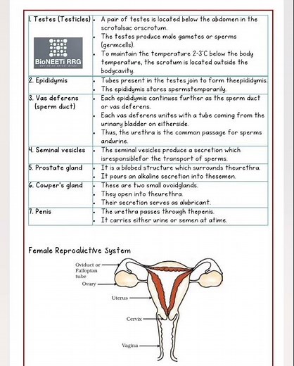 Class 10 Science CBSE Biology How Do organisms Reproduce Notes ‪@bioneetirrg‬