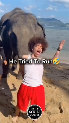 😭🔥 #scrillhassan #chicago #california #detroit #funny #comedy #shorts #fyp #gfunk #elephant